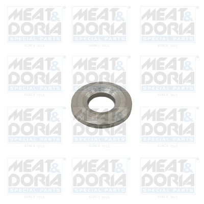 Seal Ring, injector